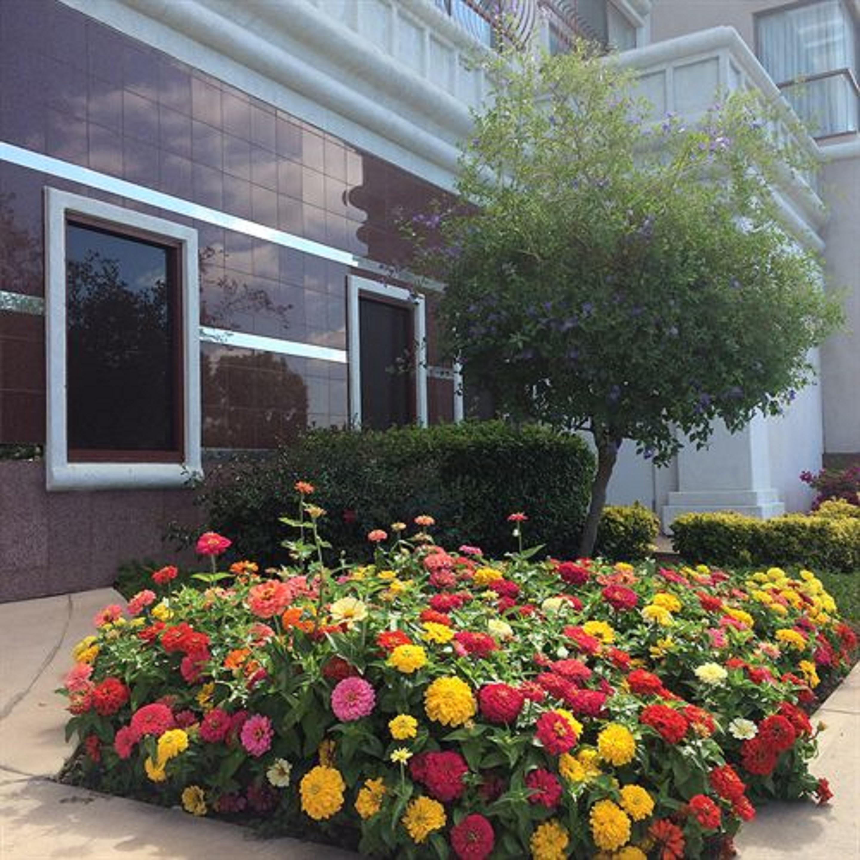 Grand Hotel Sunnyvale Exterior photo